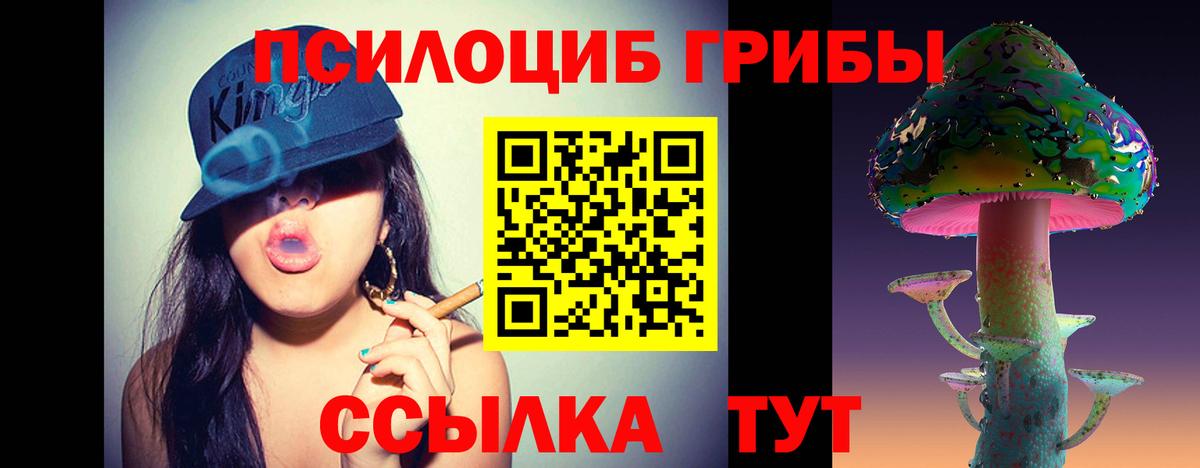 Галлюциногенные грибы Cubensis  Вход с VPN  Гатчина 